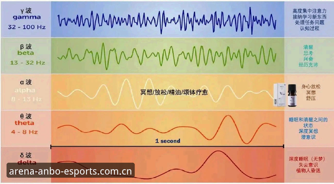 安博电竞平台功能详解与使用指南